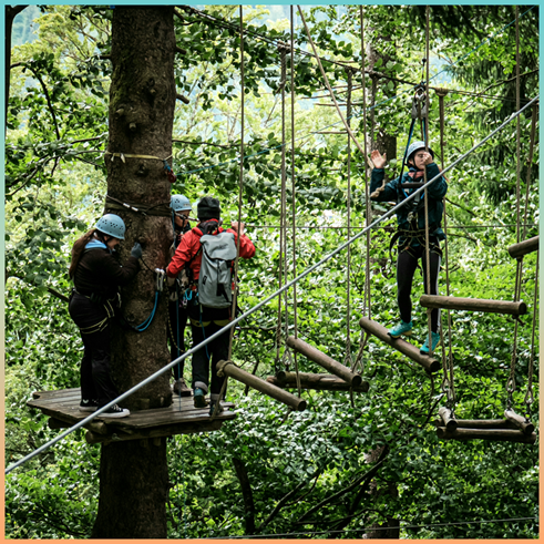 Kletterwald