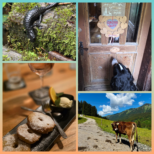 Tiere